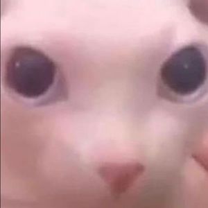 Meet your Posher, Red